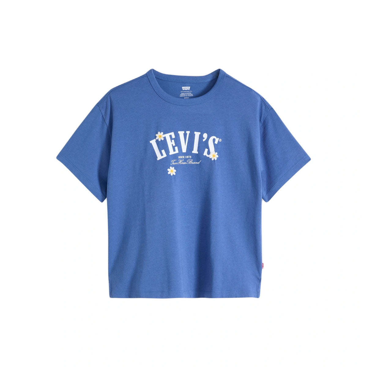Graphic Logo Vintage Short Sleeve Tee