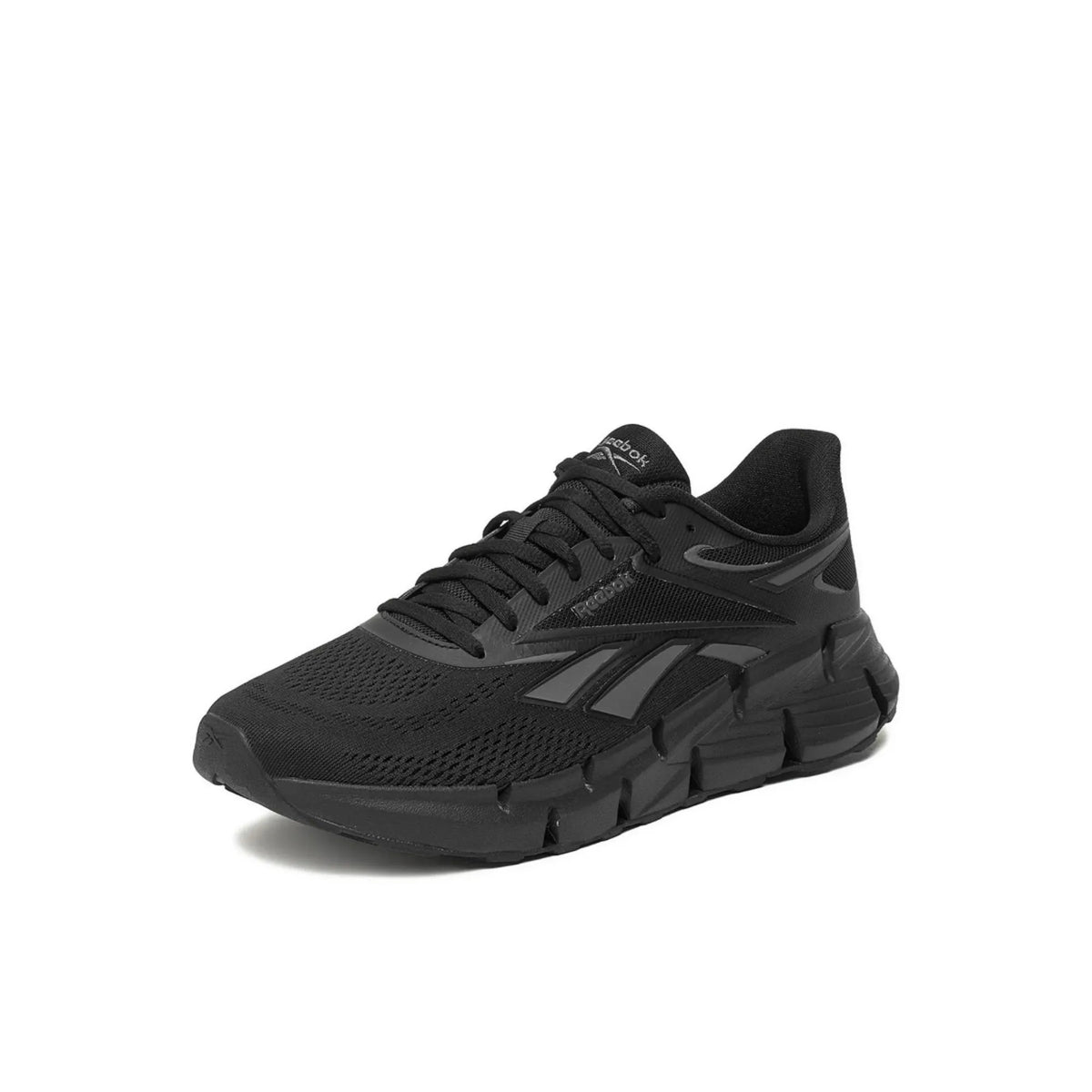 Zig Dynamica 6 Running Shoes