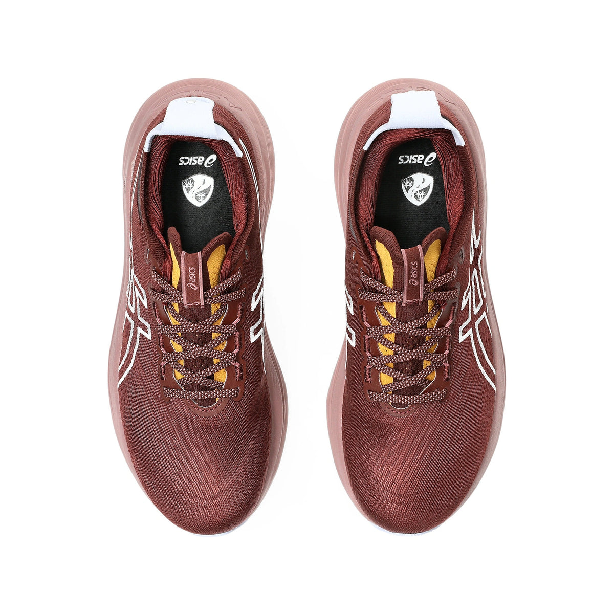 GEL-NIMBUS 27 TR