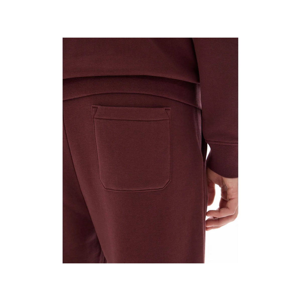 Regular Jogger Pants Raisin