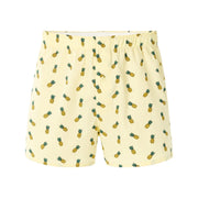 Niwoananas