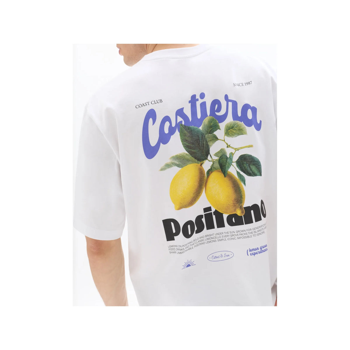 Pecitrus
