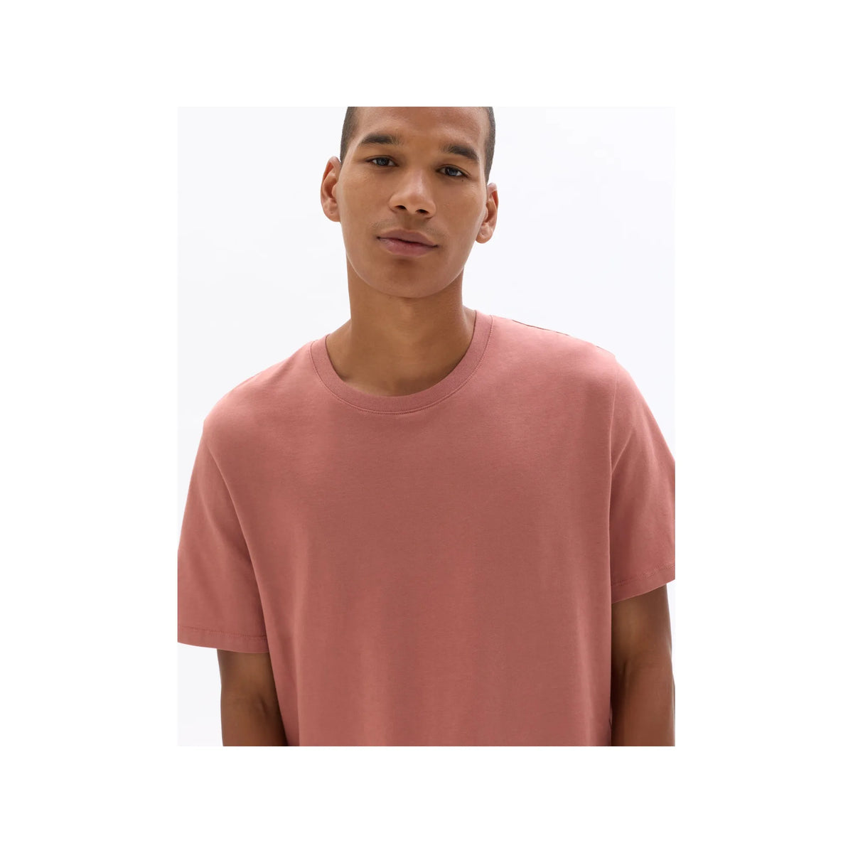 Regular Round Neck T-Shirt 100% Cotton