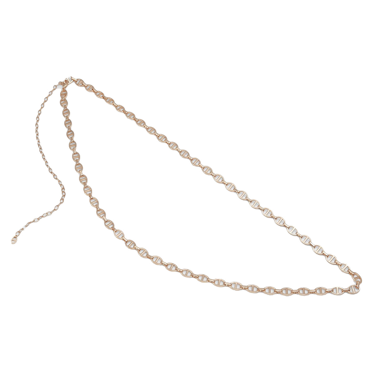 ALDO WOMEN BELT | 13935313