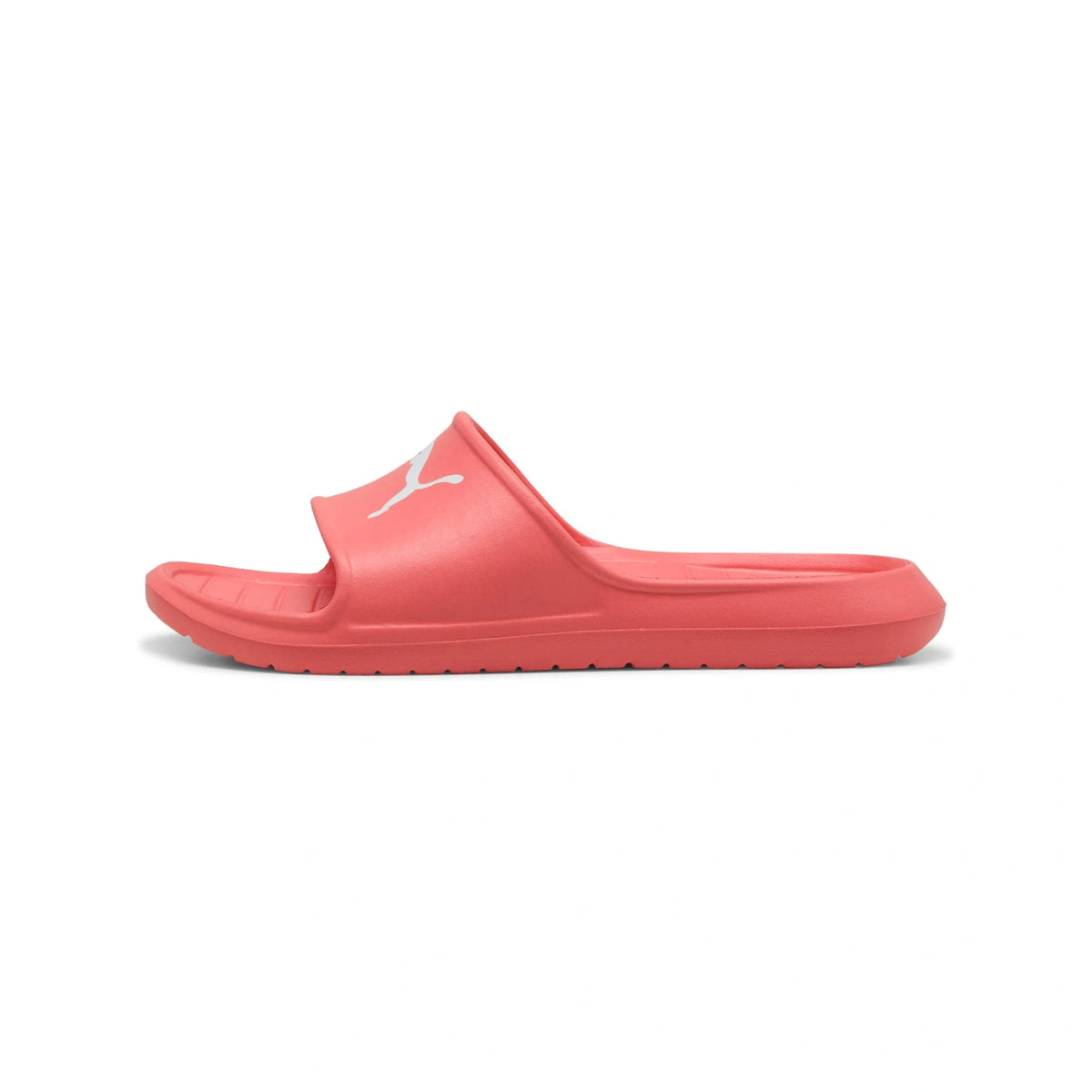 Divecat V2 Lite Slides