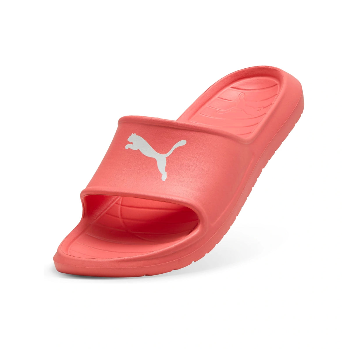 Divecat V2 Lite Slides