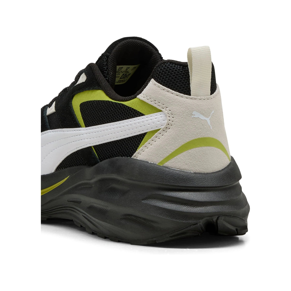 Hypnotic LS Sneakers