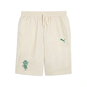 SUPER PUMA Woven Shorts Youth