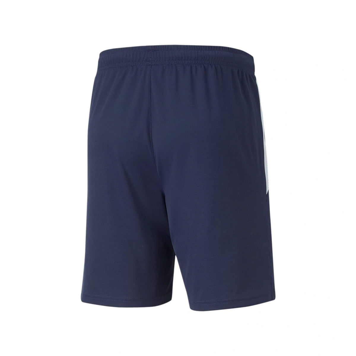 Teamliga Training Shorts