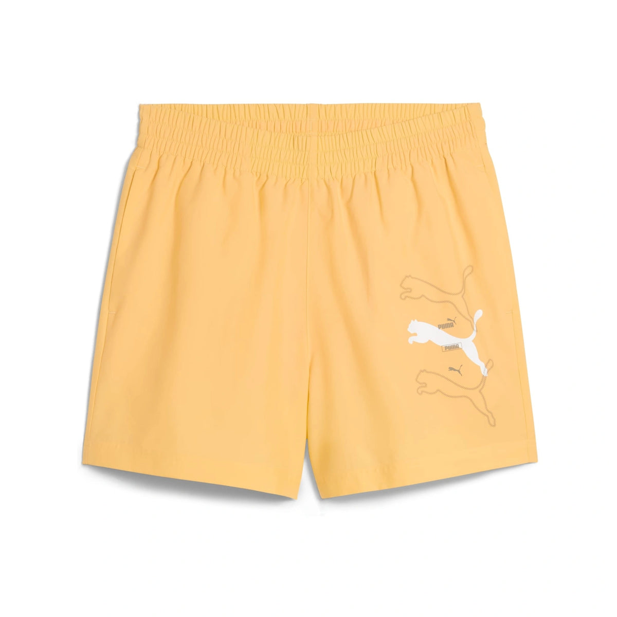 ESS LOGO LAB Puma Lo