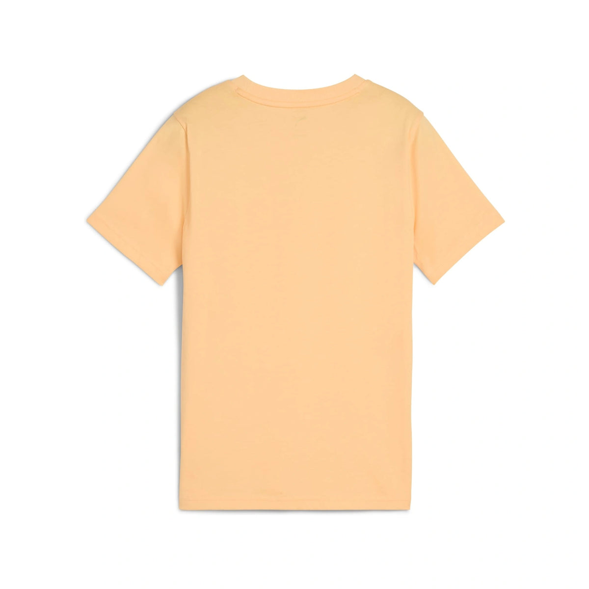 Essentials Logo Lab Summer Tee Youth