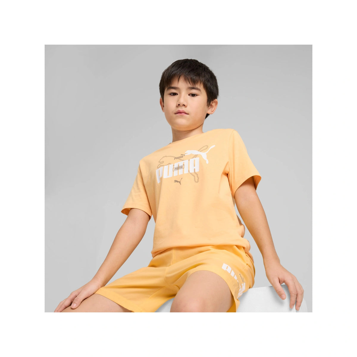 Essentials Logo Lab Summer Tee Youth
