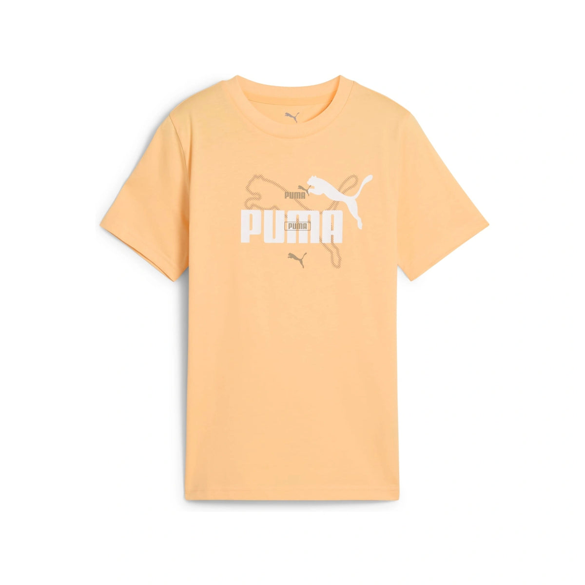 Essentials Logo Lab Summer Tee Youth