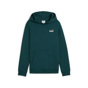 Essentials Colour Small No. 1 Logo Hoodie Youth