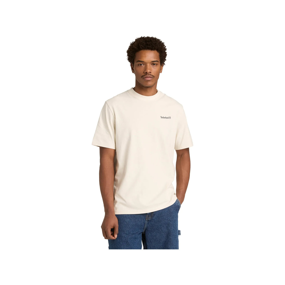 Lake House Back Graphic Tee
