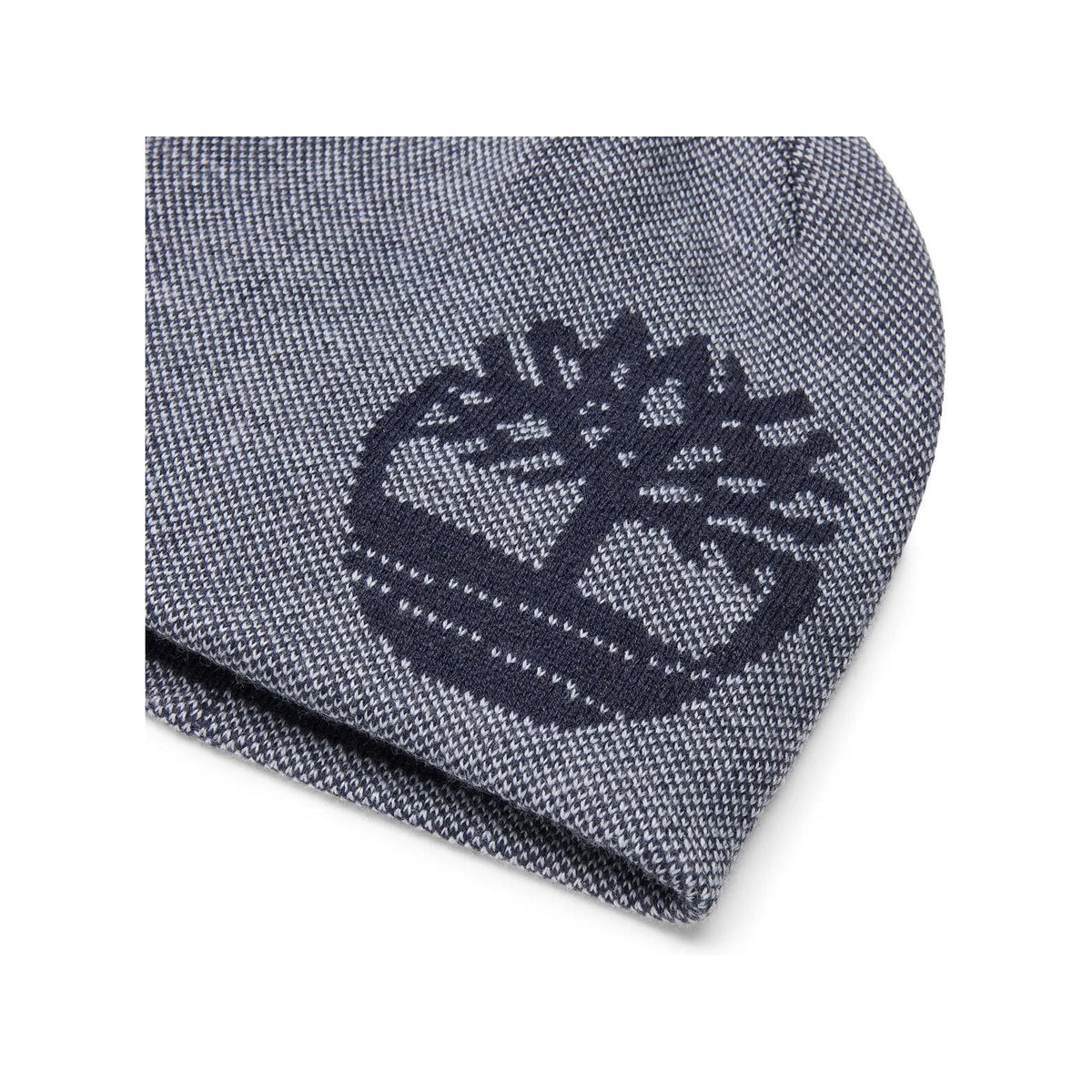 Reversible Logo Beanie