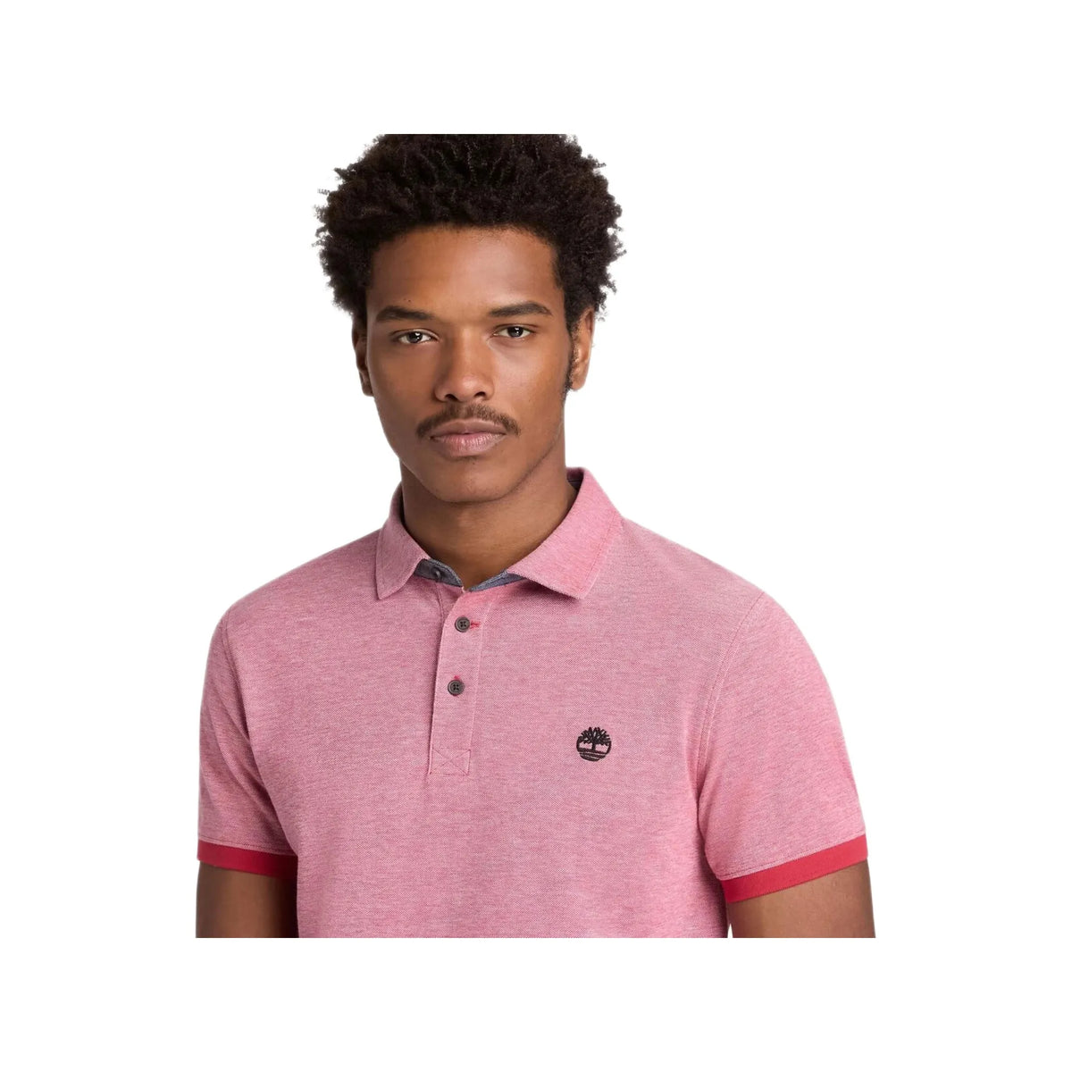 Baboosic Brook Oxford Short Sleeve Polo