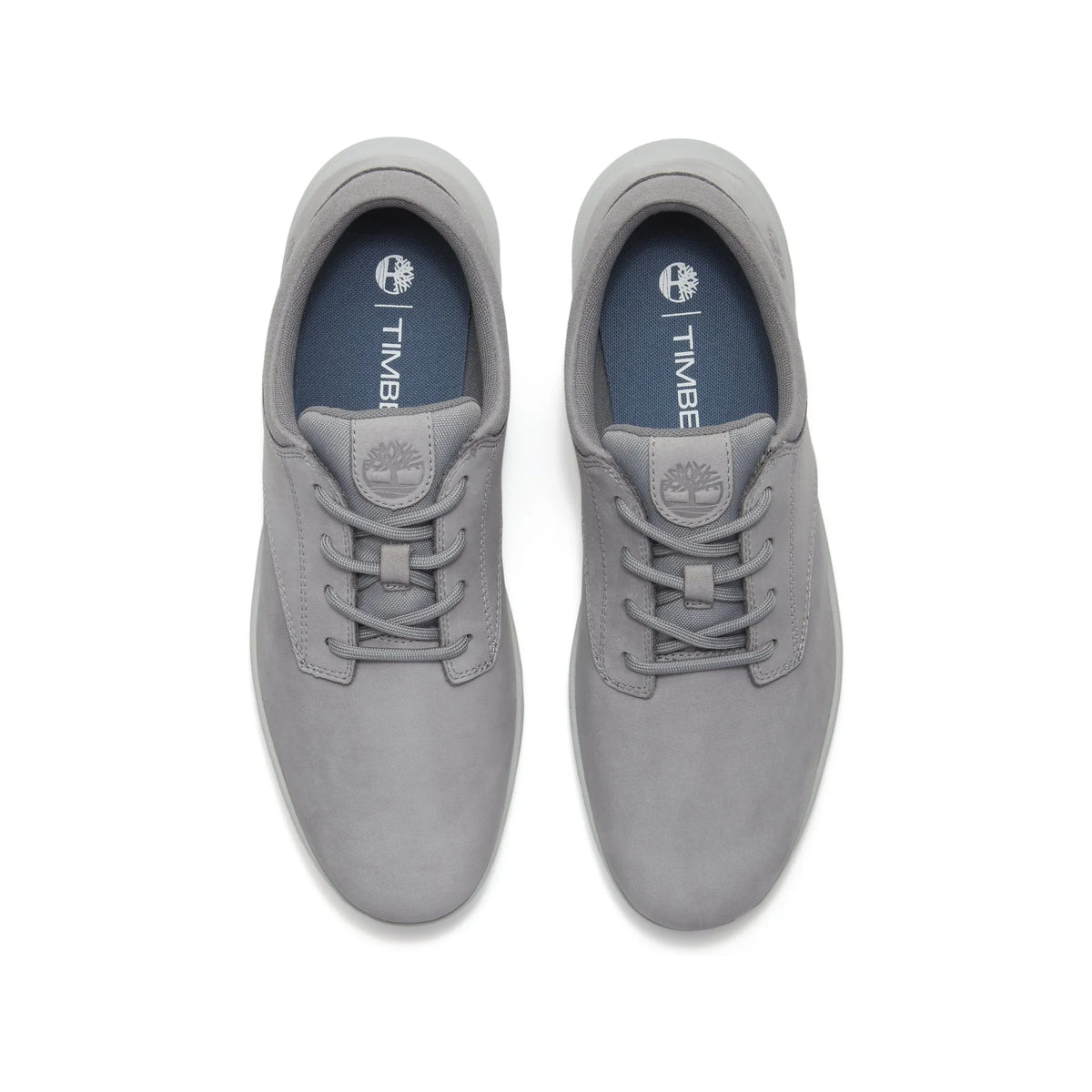 Parker Street Low Lace Up Sneaker