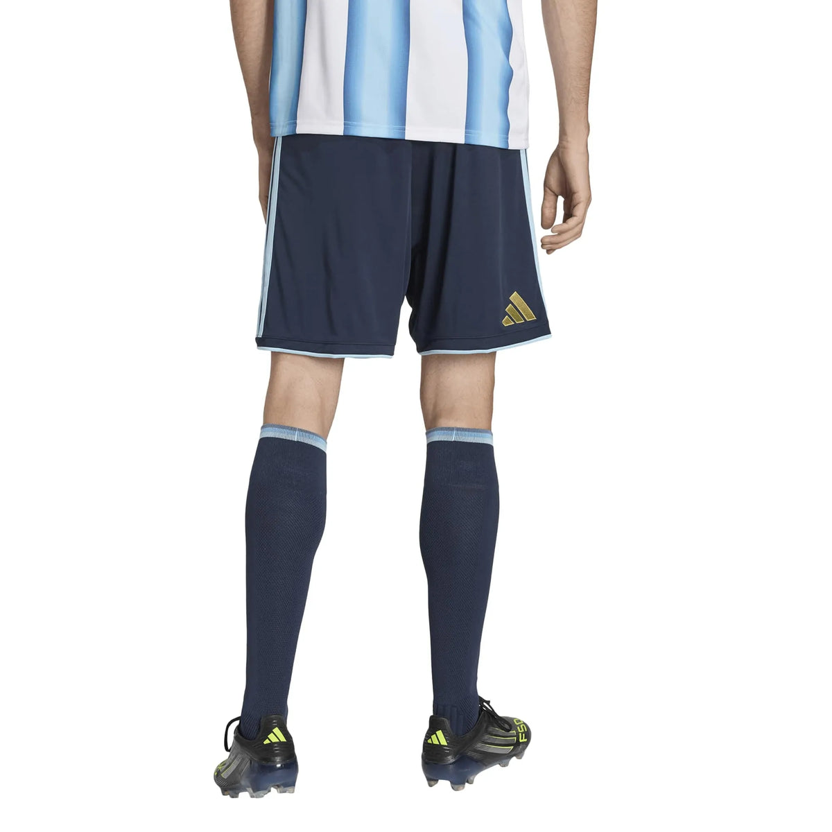 Argentina 26 Home Shorts
