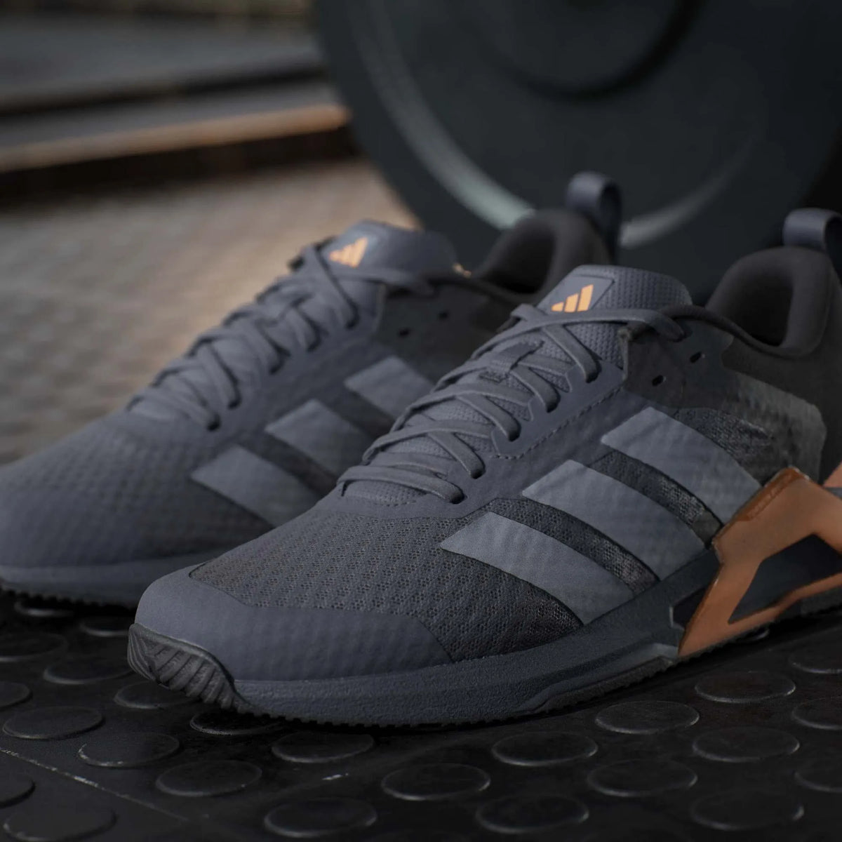 Dropset Control Training Shoes