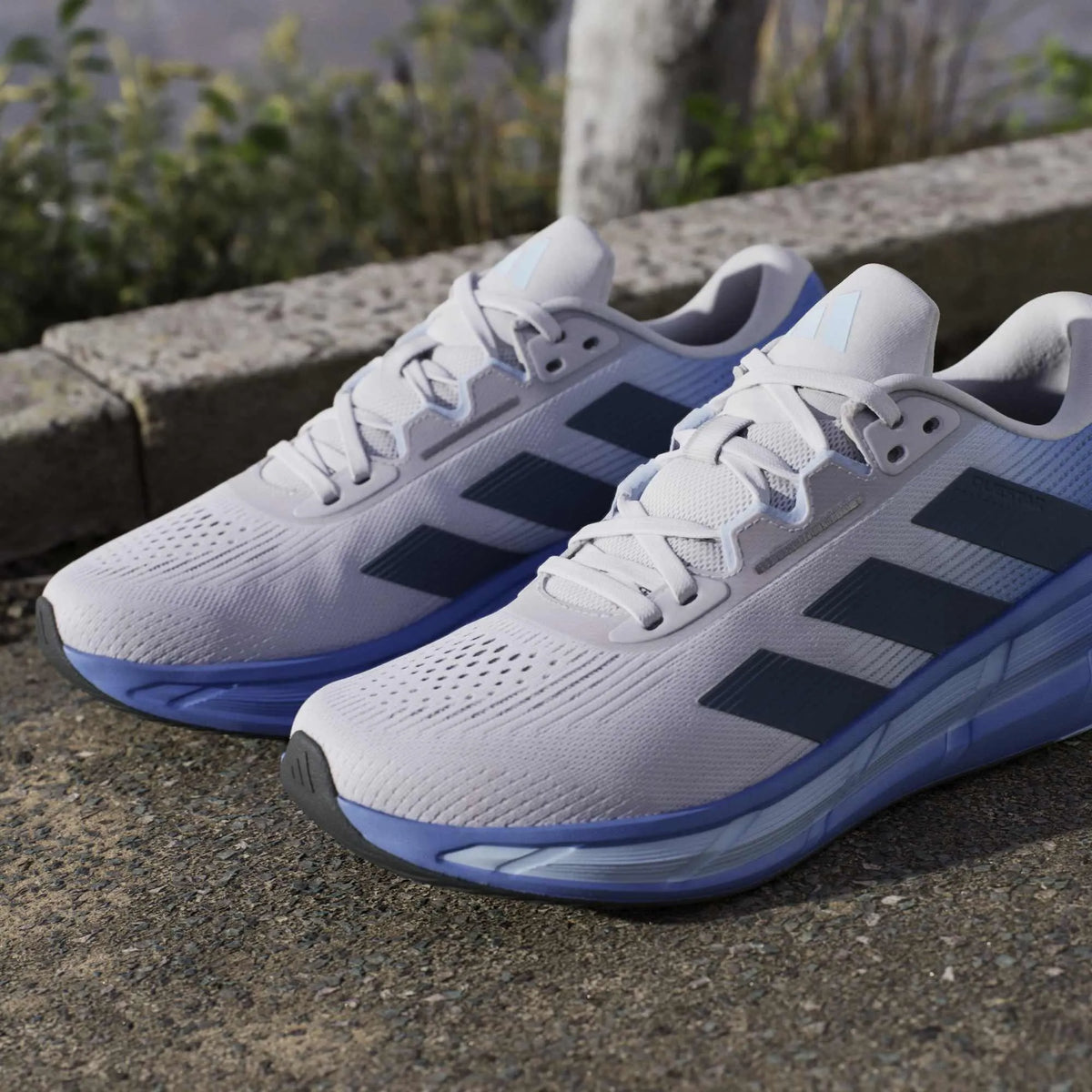 Questar 3 Running Shoes