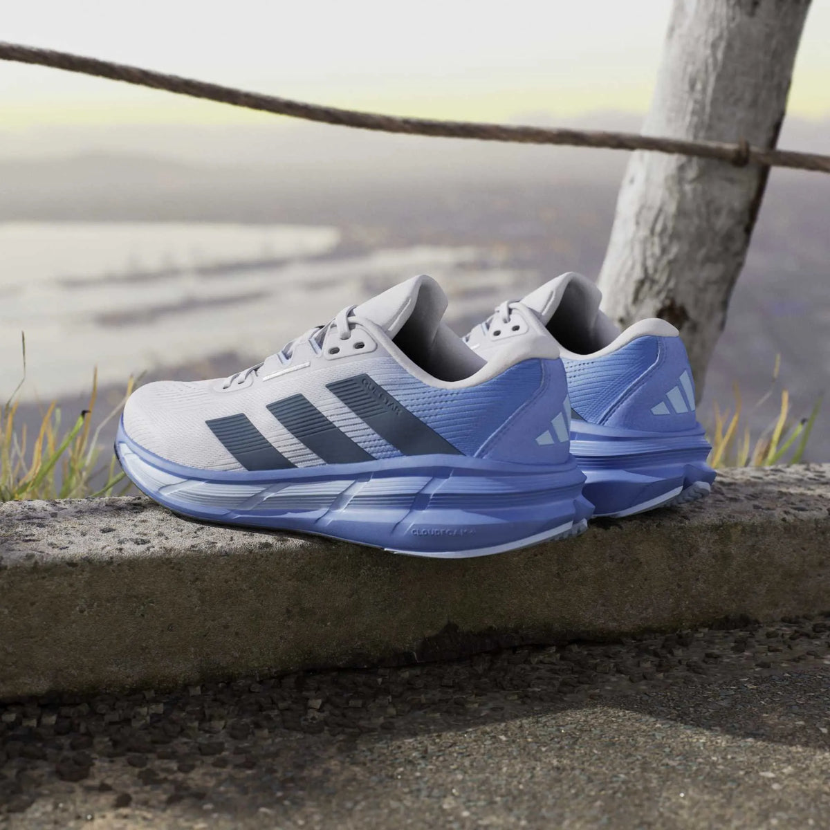 Questar 3 Running Shoes