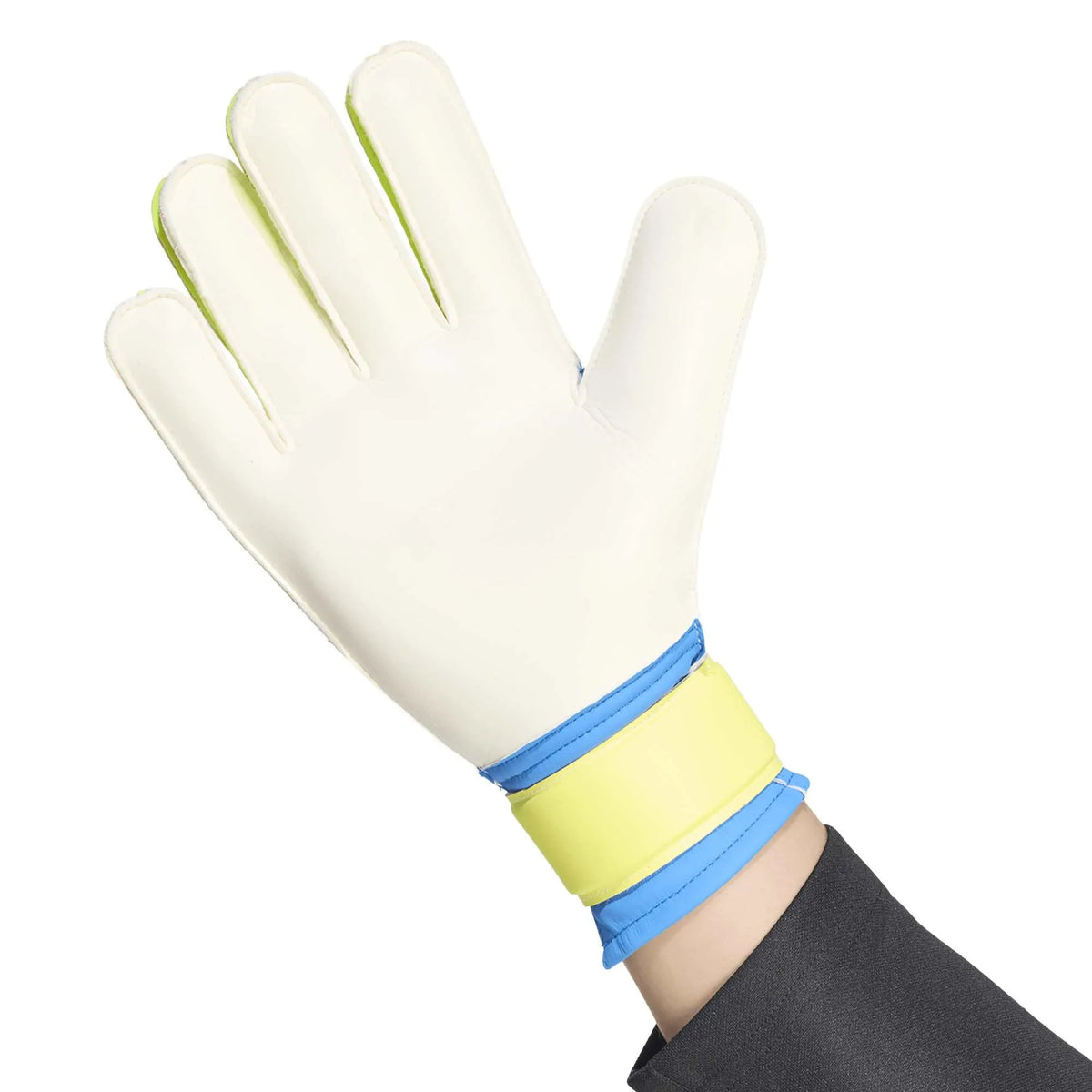 PREDATOR GOALKEEPER GLOVE TRAINING