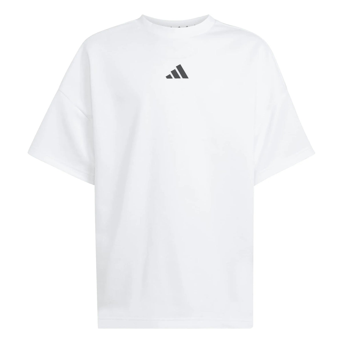 FUTURE ICONS OVERSIZED T-SHIRT