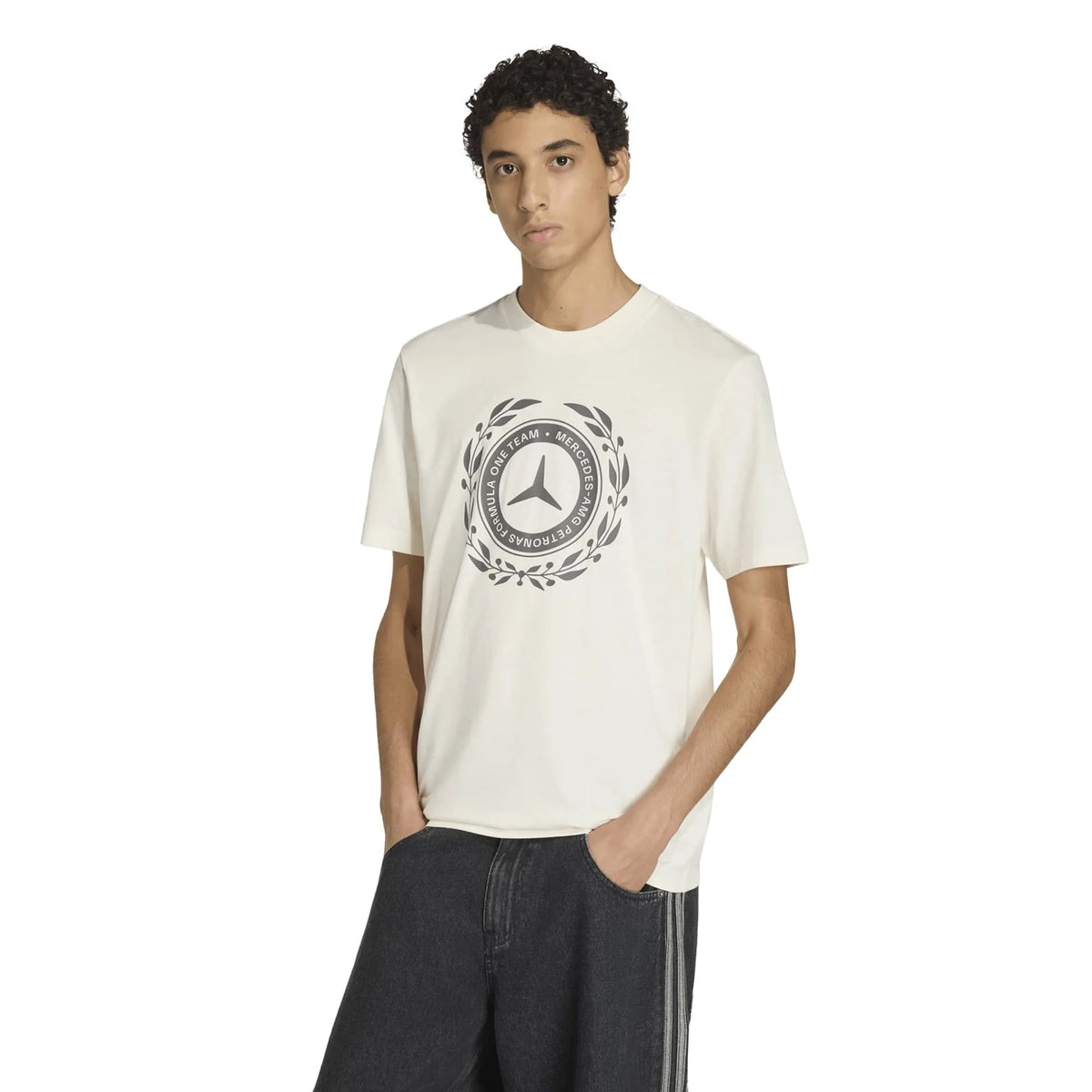 MERCEDES - AMG PETRONAS FORMULA 1 TEAM SILVER ARROWS T-Shirt 01 MEN