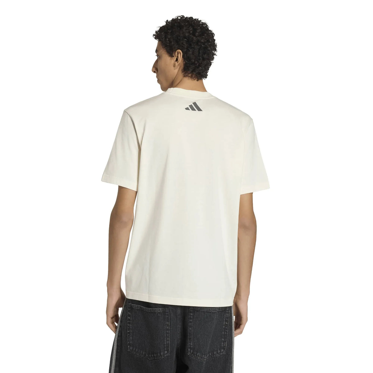 MERCEDES - AMG PETRONAS FORMULA 1 TEAM SILVER ARROWS T-Shirt 01 MEN