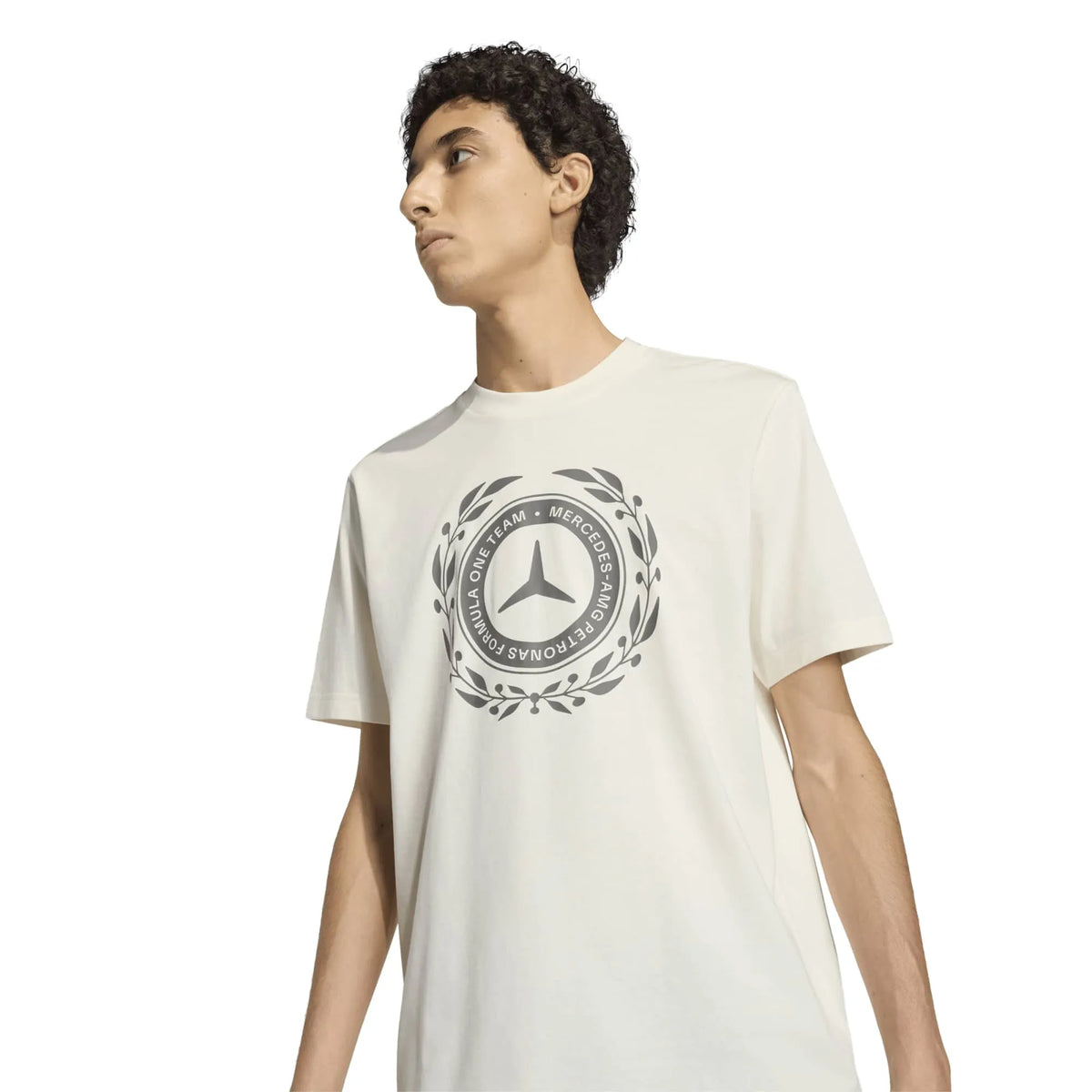 MERCEDES - AMG PETRONAS FORMULA 1 TEAM SILVER ARROWS T-Shirt 01 MEN
