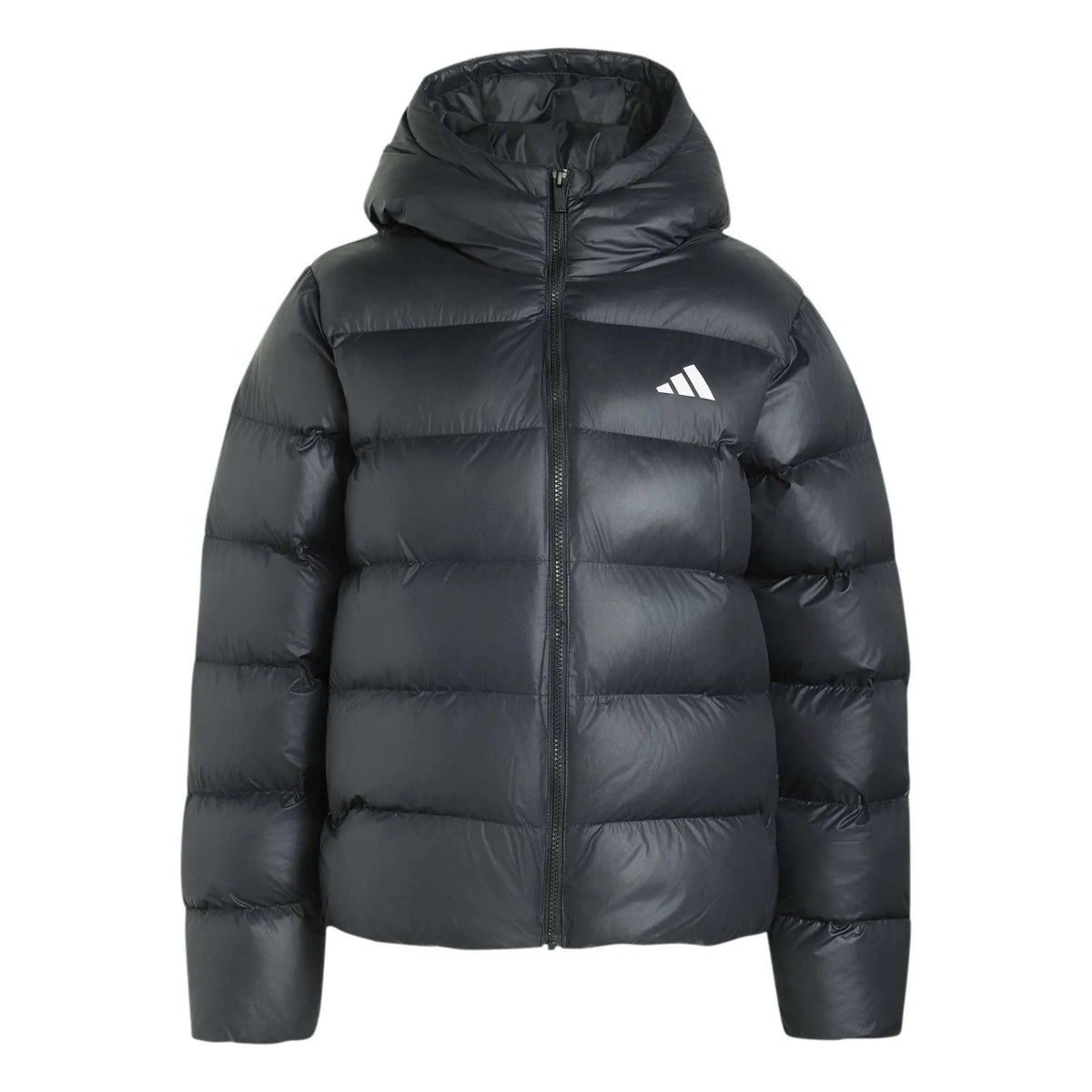 Essentials Insulation Hooded Jacket